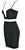 Bodycon Sleek Dress Mesh