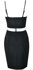 Bodycon Sleek Dress Mesh