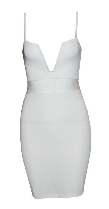 Bodycon Sleek Dress Mesh